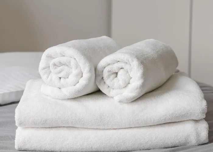 Daire Wilenska Express Chic By Bookinghost